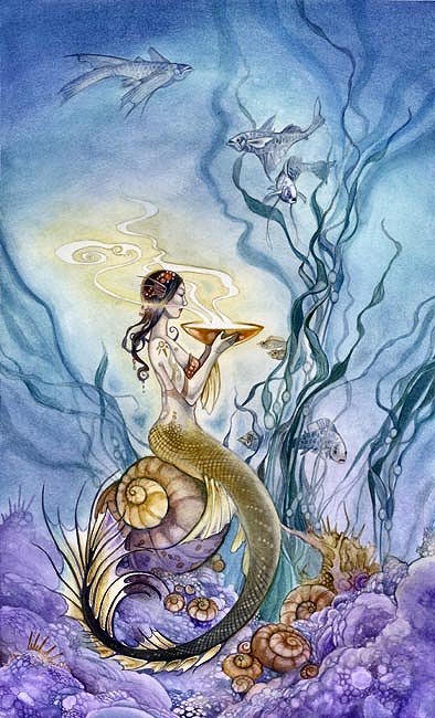 Page of Cups