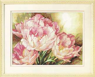 Tulip Trio