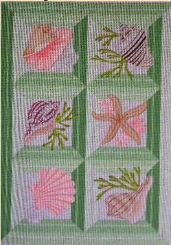 Shell Shadowbox Small
