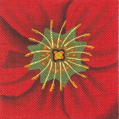 Potentilla Coaster