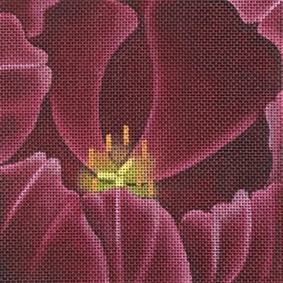 Tulip Coaster