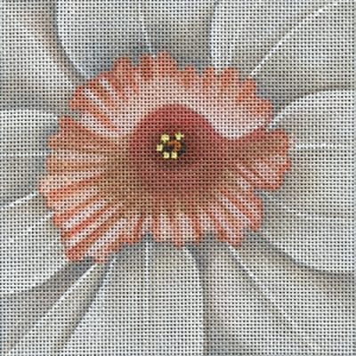 Daffodil Coaster