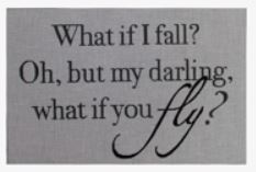 What if I fall ?