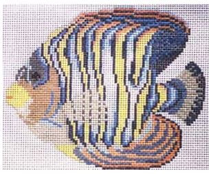 Empress Angelfish