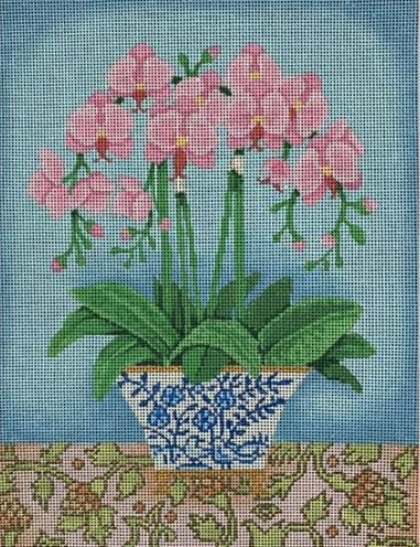 Pink Orchids in Blue/White Planter