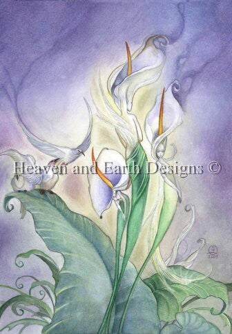 Calla