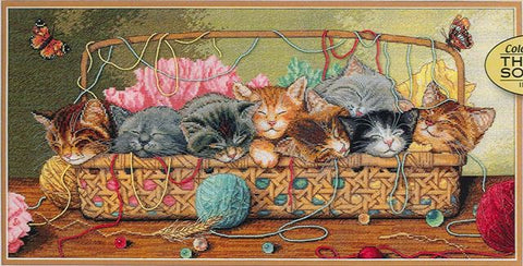 Kitty Litter
