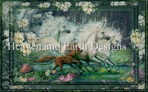 Dreams of Unicorns
