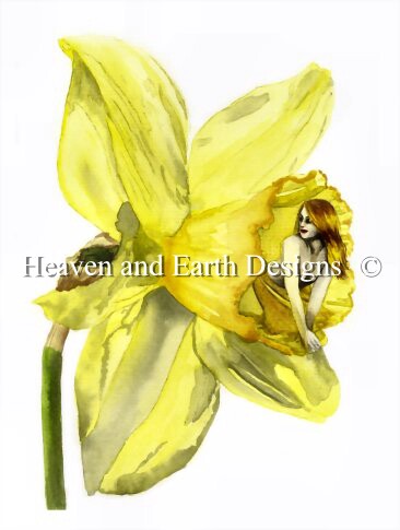 Daff - Alexandra Dawe