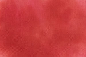 Crossed Wing - 28ct - Redbird - Fat Quarter Yard 27 x 18 in