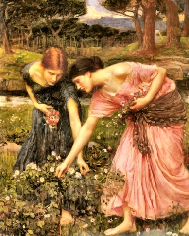 Gather Ye Rosebuds While Ye May