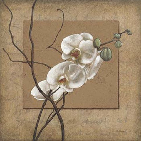 Golden Orchid
