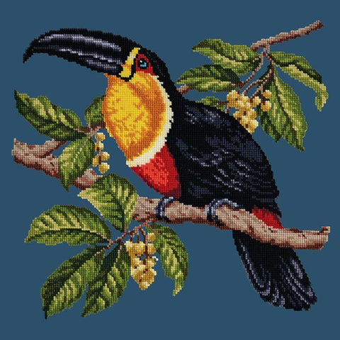 Toucan