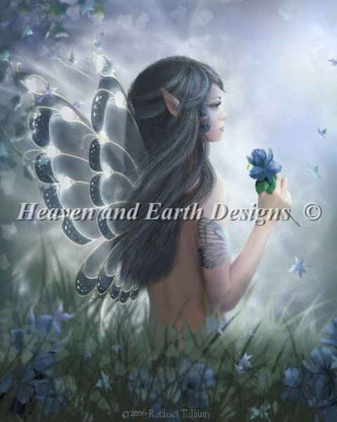 Butterfly Fairy - Tallamy