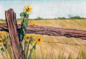 From the Prarie