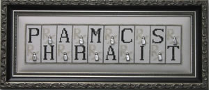 Pharmacist - Mini Blocks