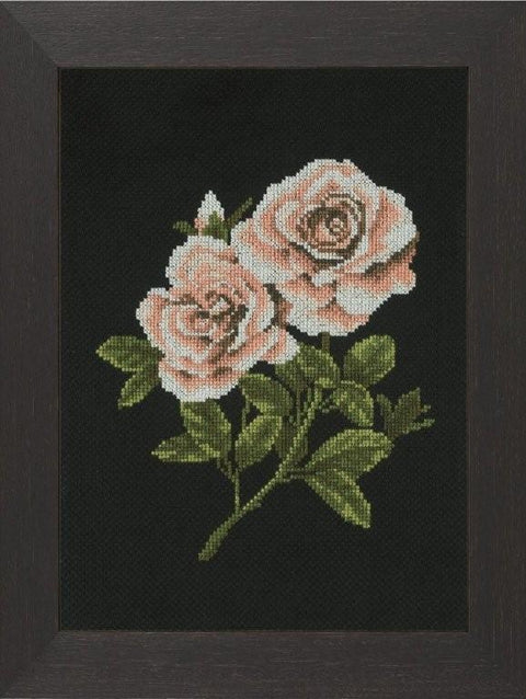 Roses on Black