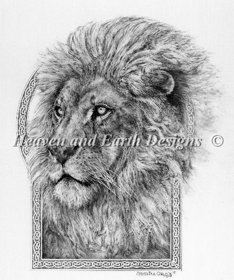 Panthera Leo