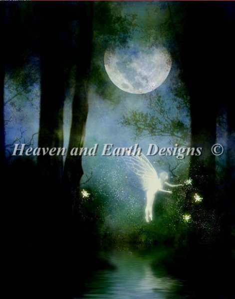 Mystic Forest