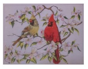 Cardinals