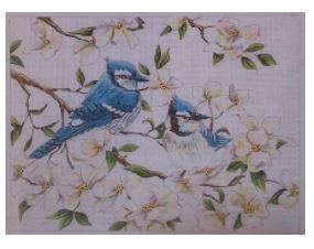 Blue Jays