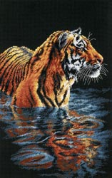 Tiger Chilling Out