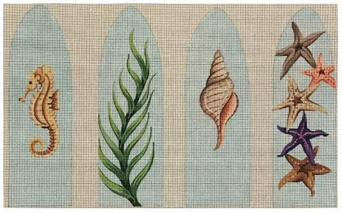 Tulip Purse Seashells - B