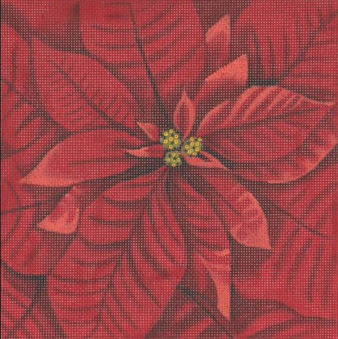 Poinsettia