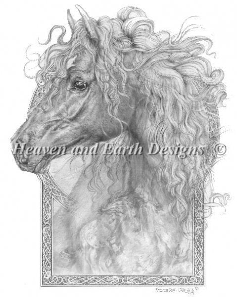 Equus Caballus