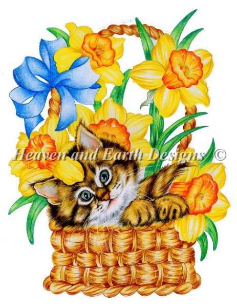 Daffodil Kitty