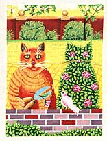 Hedge Cat