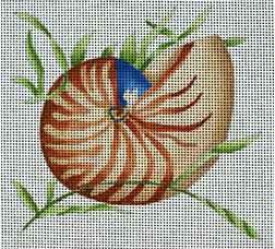 Nautilus Shell 