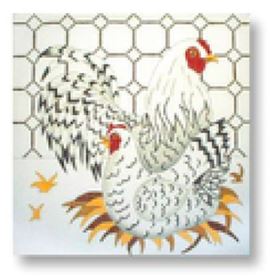 Black/White Chickens