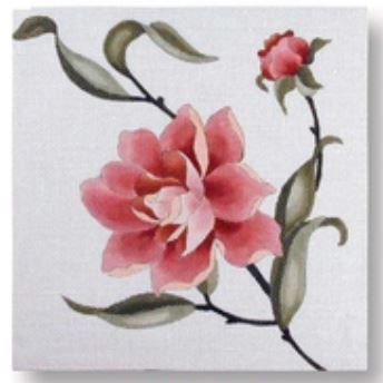 Peony 1