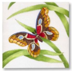 Butterfly III 