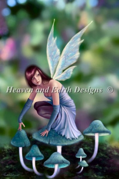 Periwinkle - Anderson