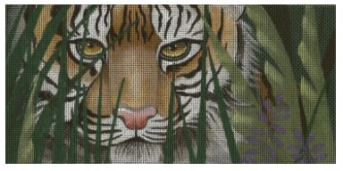 Tiger Awaits, A