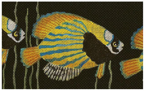 Something Fishy