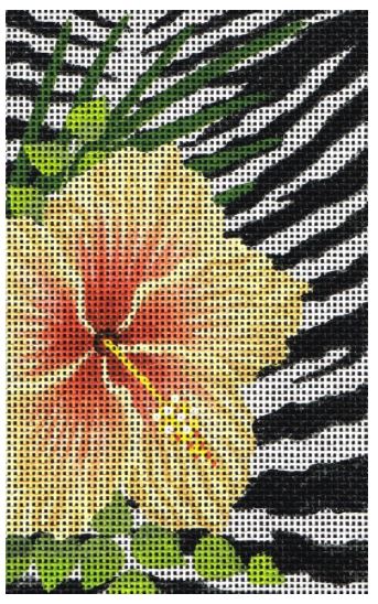 Wild Hibiscus