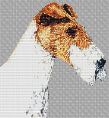 Fox Terrier