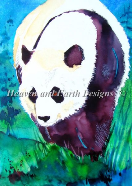 Panda Bear