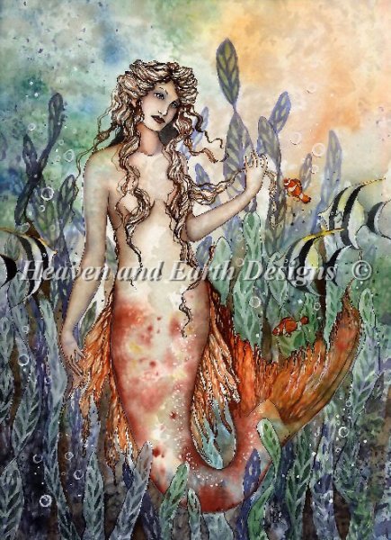 Reveries in The Kelp Bed