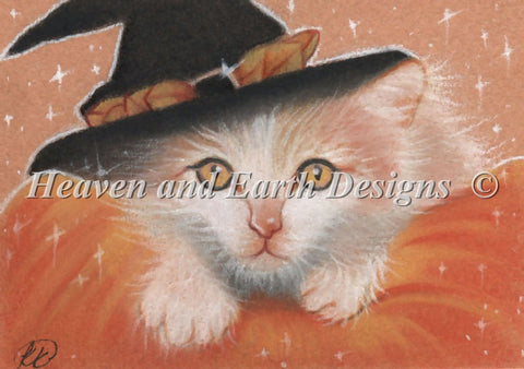 Kitty Witch 