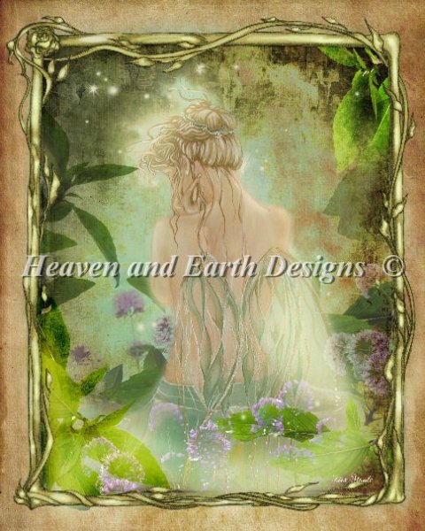 Herb Collection - Mint