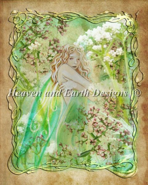 Herb Collection - Valarian