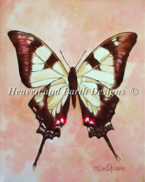 Kite Swallowtail