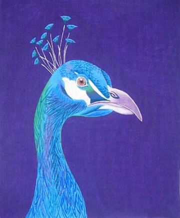 Peacock Portrait