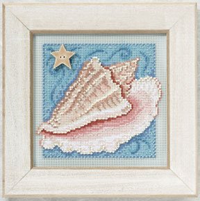 Conch Shell