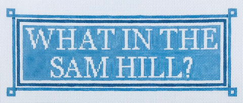 What in the Sam Hill ?