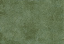 PTP Lugana 28ct - Conifer - Fat Quarter Yard 18 x 26 in